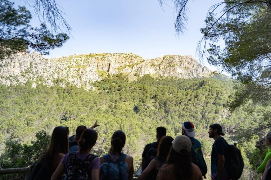 Mallorca : Reserva Park Entry Ticket With Nature & Animals