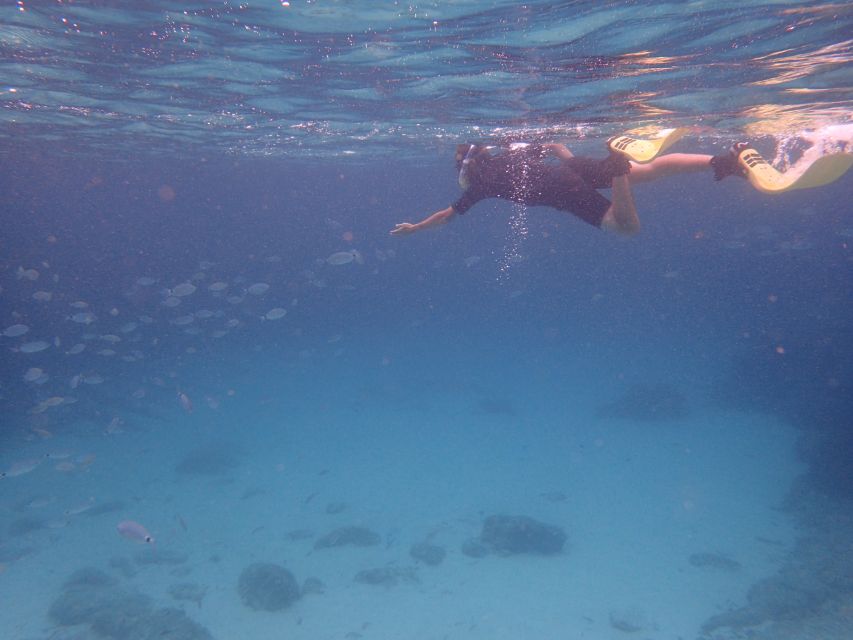 Mallorca: Snorkeling in a Beautiful Nature Reserve