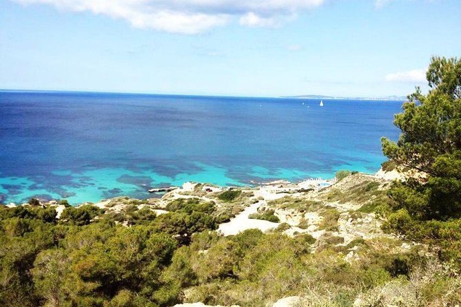 Mallorca: Try Scuba Diving in a Beautiful Nature Reserve - Overview of the Scuba Diving Experience