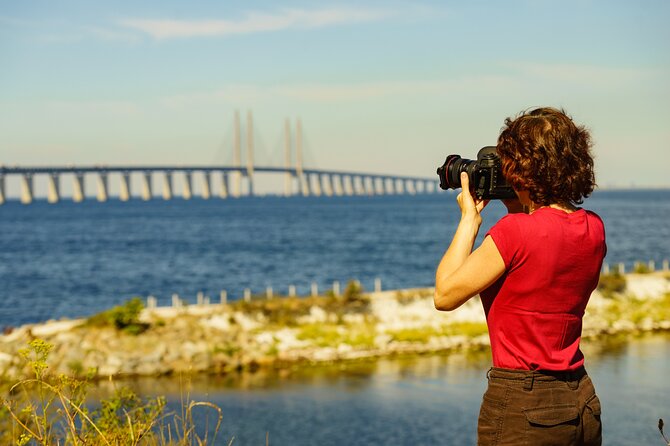 Malmö Private Tour With Swedish Lunch From Copenhagen by Train