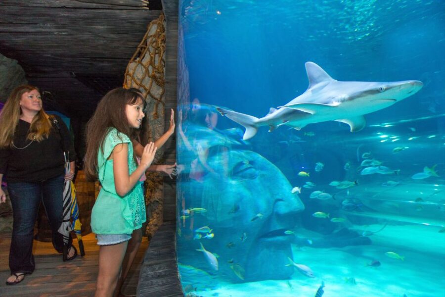 Manchester: SEA LIFE Entrance Ticket - Ticket Details