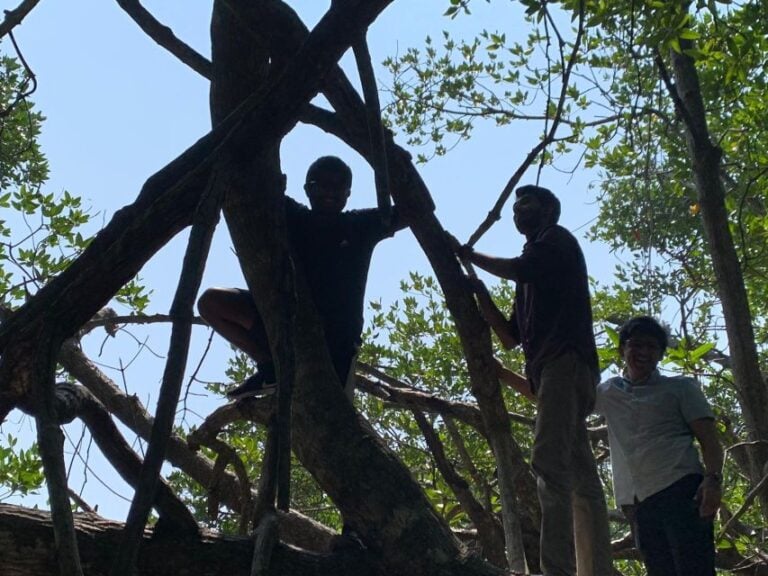 Mangrove Adventure in Bentota