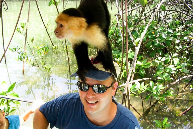 Mangrove Boat Tour Damas Island | Manuel Antonio - Tour Overview and Details