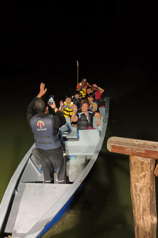 Mangrove Discovery Tour or Fireflies Tour