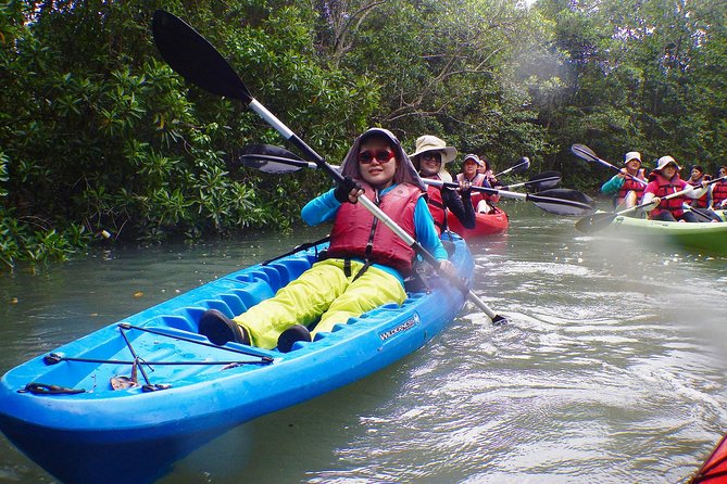 Mangrove Kayaking Adventure in Singapore - Overview of the Adventure