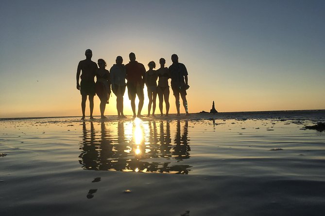 Mangroves Paddling Tour