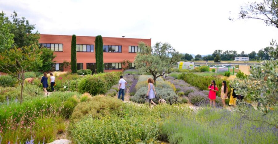 Manosque: Loccitane En Provence Guided Factory Tour - Tour Details