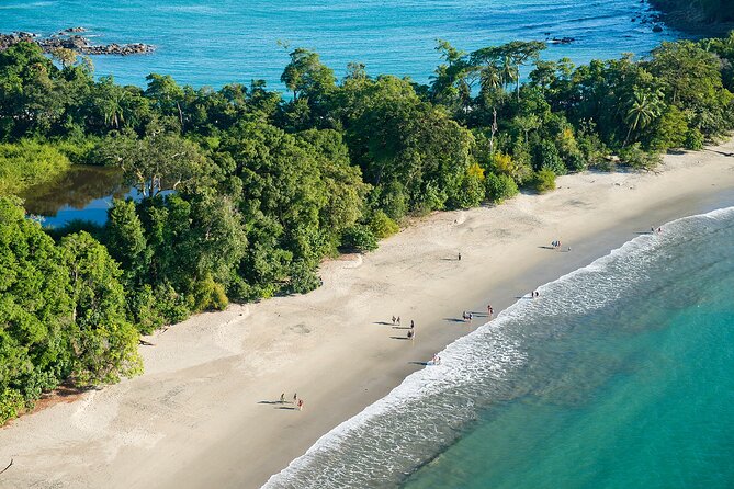 Manuel Antonio National Park Full Wildlife