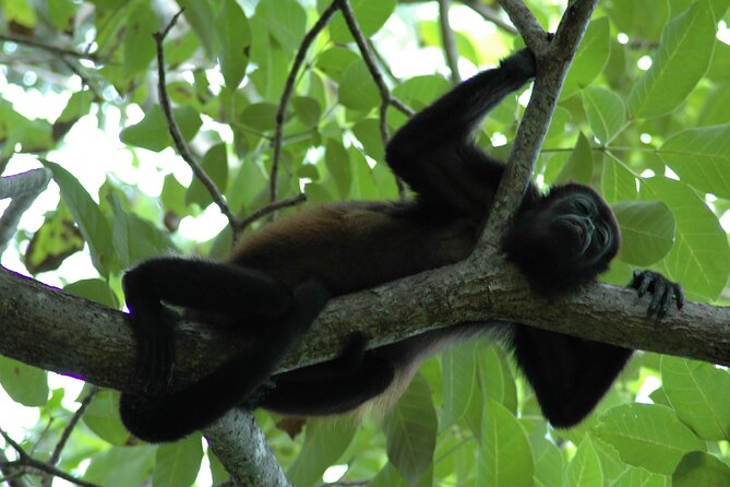 7 Best National Park Tours In Jaco