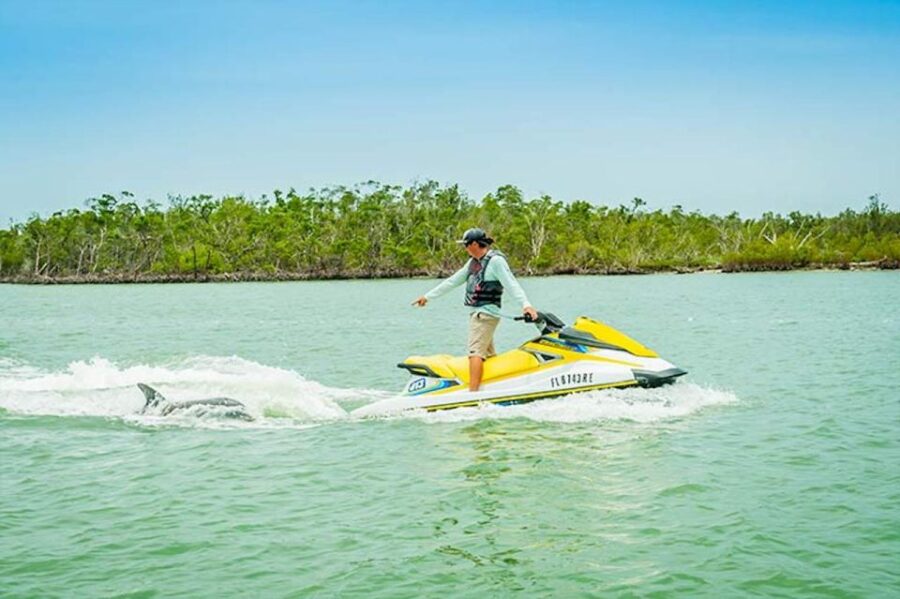 Marco Island: Ten Thousand Island Jet Ski Guided Tour