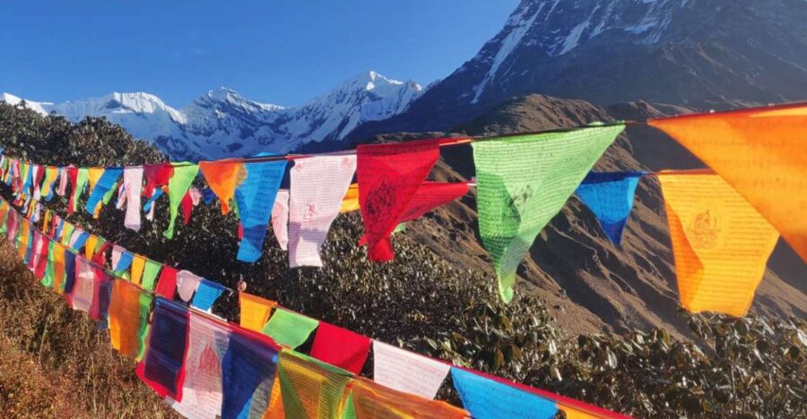 Mardi Himal Base Camp Yoga Trek 7-Day - Overview and Pricing