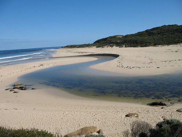 Margaret River Wine Adventure - the Tour for People Who Dont Do Tours!
