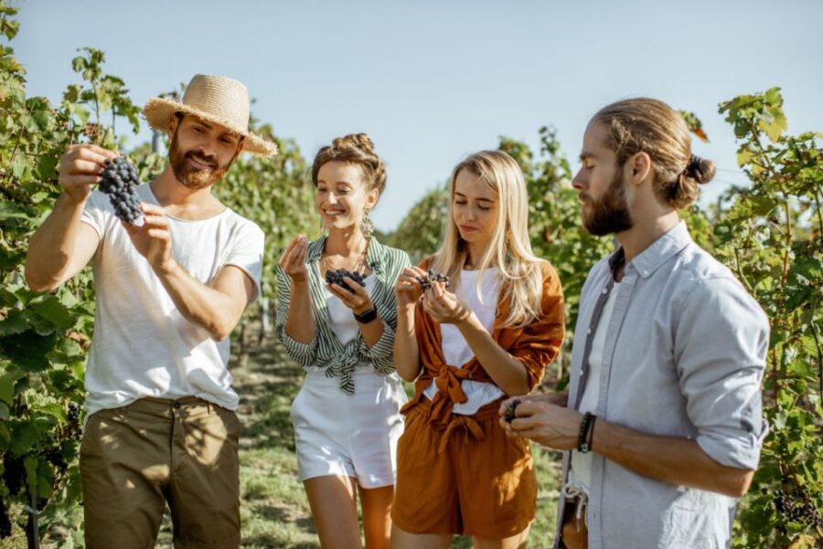 Margaret River's Wine & Chocolate Odyssey: Private Tour