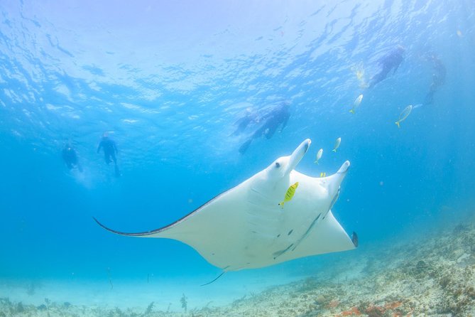 3 Best Safari Tours In Coral Bay