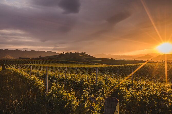 Marlborough Discovery Full Day Wine Tour – Blenheim