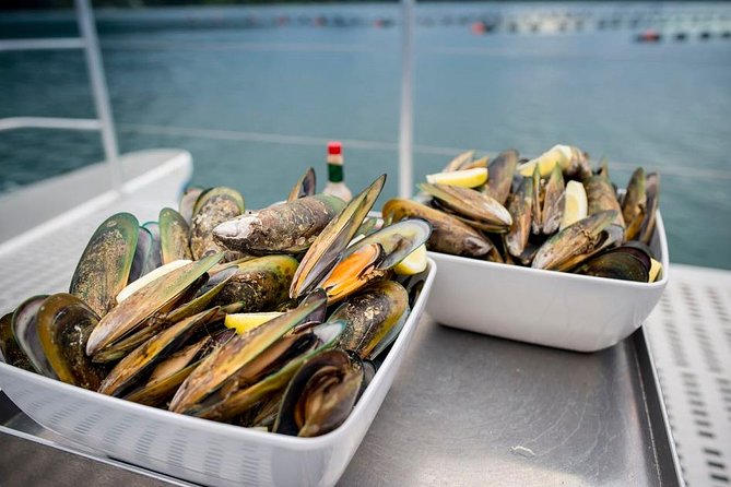 Marlborough Sounds Greenshell Mussel Tasting Cruise - Overview and Experience