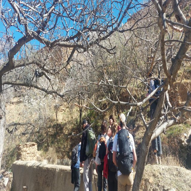 Marrakech: 3 Day High Atlas Mountains and Three Valleys Trek - Overview and Booking Information
