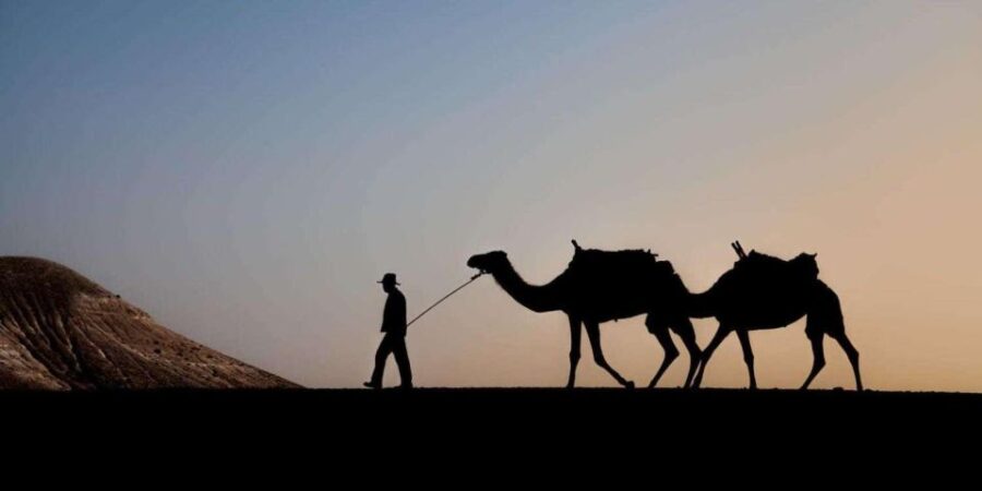 Marrakech: At Agafay Desert, Quad Bike, Camel, And Dinner