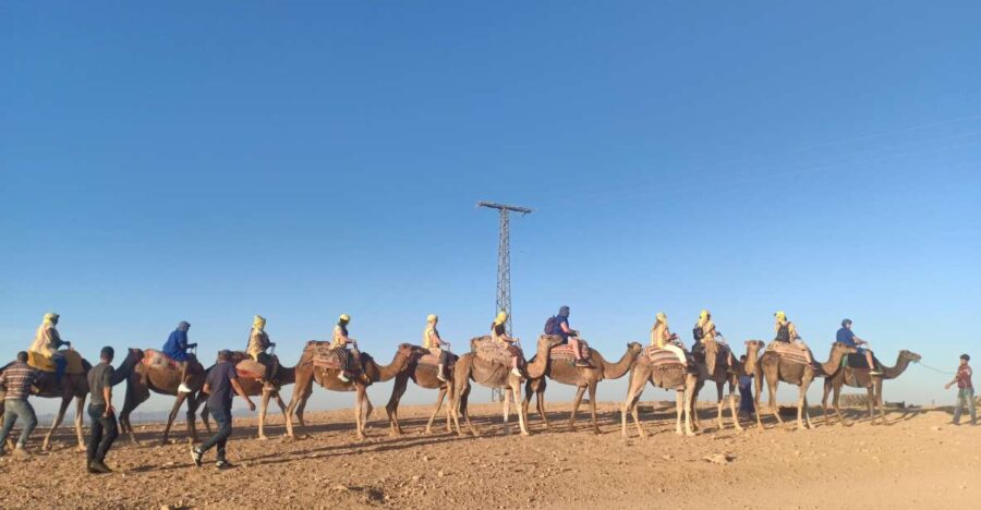 Marrakech: Camel Safari at Agafay Desert With Lunch