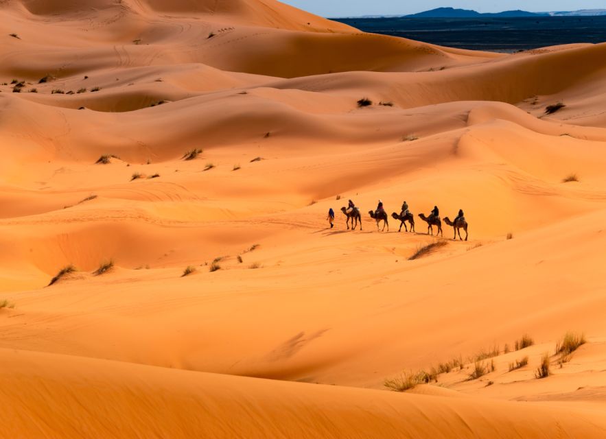 Marrakech: Day Trip to Ait Ben Haddou & Ouarzazate - Trip Overview