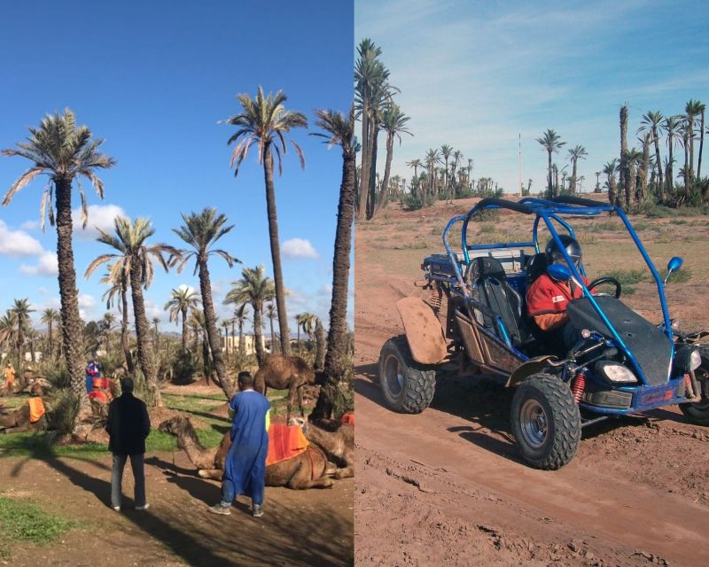 Marrakech: Half-day Dunes Trip With Buggy and Camel Ride - Trip Overview and Pricing