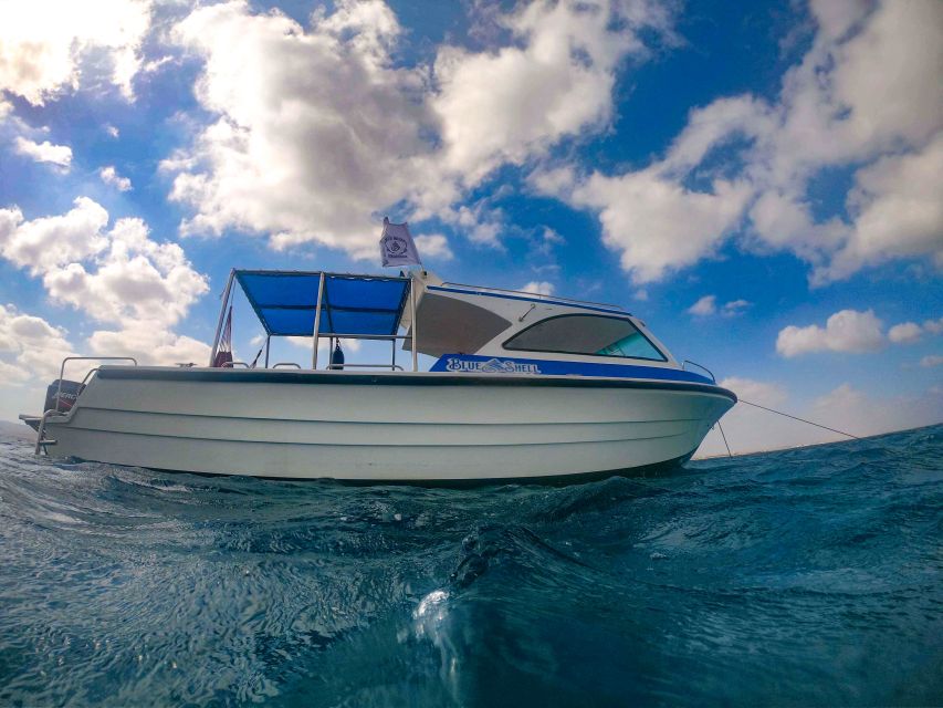 Marsa Alam: Private Snorkeling Trip With Dugong and Turtles