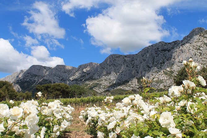 Marseille Shore Excursion - Private Full Day Wine Tour in Provence