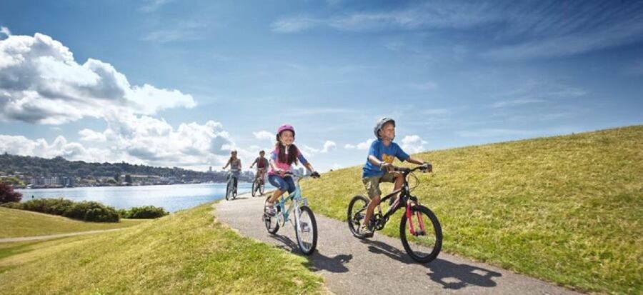 Maspalomas: Rent City Bike Optional Baby Seat or Child Bike - Rental Options