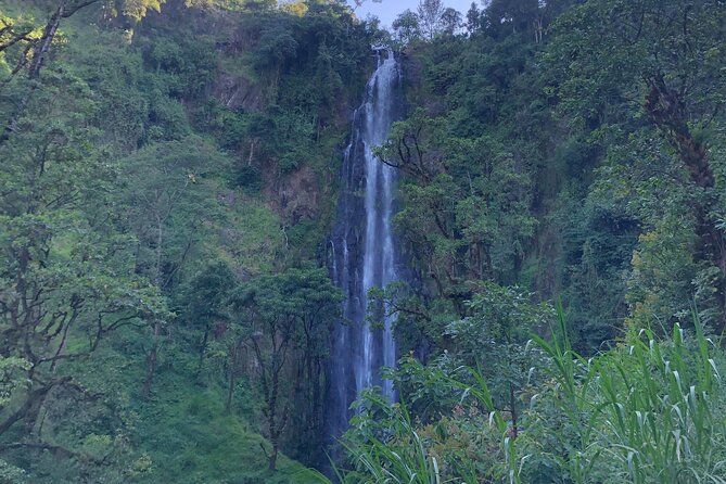 Materuni Waterfalls & Coffee Tour