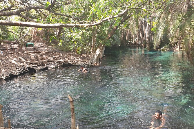 Materuni Waterfalls,Coffee and Chemka Hotspring Tour