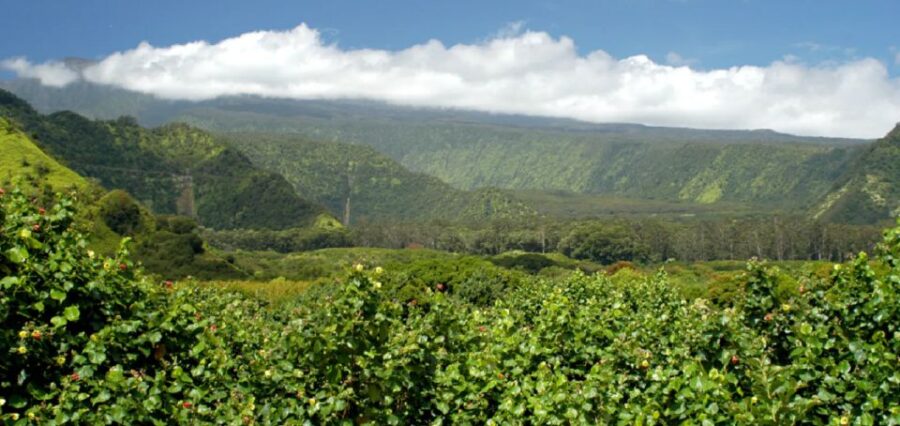 Maui: Full Day Hiking Tour With Lunch - Tour Overview