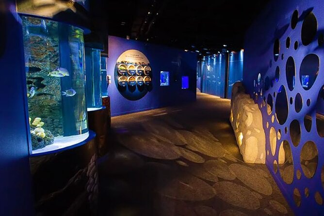Mauritius Odysseo Oceanarium in Port Louis