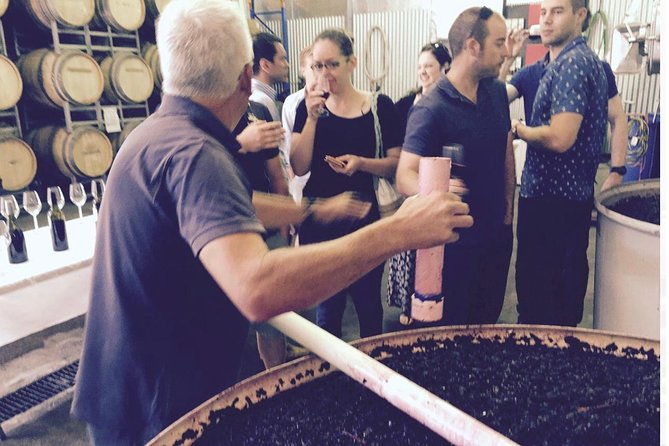 McLaren Vale Private Wine Tour