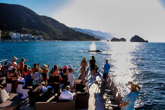 Mega Yacht Whale Watching Sunset Tour [All-Inclusive]