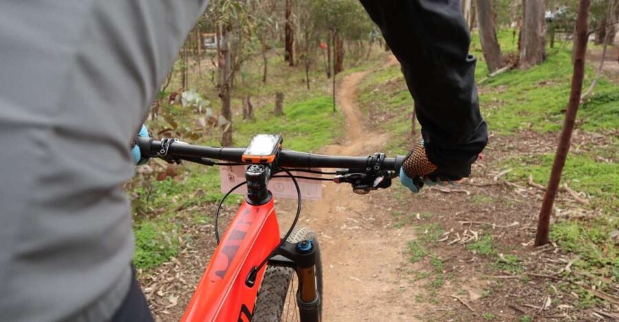 Melbourne: 1-Day Mountain Biking Adventure With Lunch