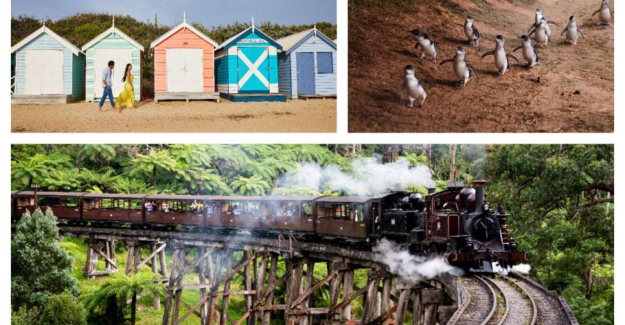 Melbourne: Brighton Boxes, Puffing Billy, and Penguin Parade