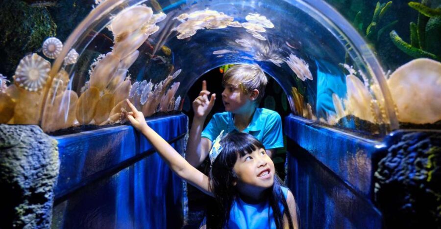 Melbourne: SEA LIFE Aquarium Entrance Ticket - Ticket Details