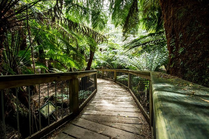 Melbourne to Adelaide South East Coast 3 Day Overland Tour