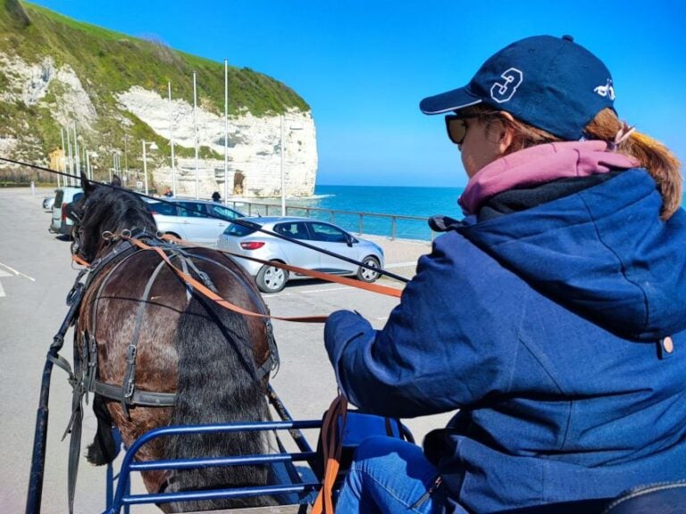 Mentheville: Horse-Drawn Carriage Ride in the Countryside