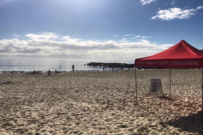 2 Best 2 Hour Tours and Experiences in Noosa and Sunshine Coast
