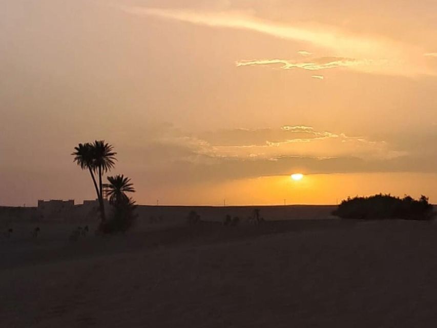 2 Best Food Tours In Merzouga