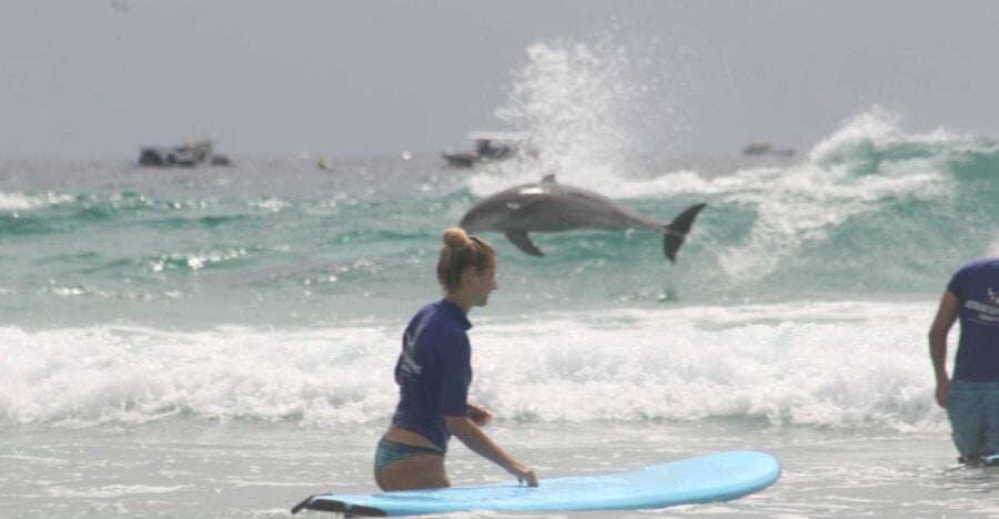 Miami: Group Surf Lesson - Activity Overview and Pricing