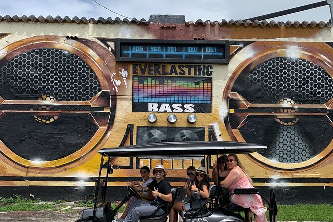 Miamis Best Graffiti Guide - VIP Golf Cart Tour - 2-5 Ppl