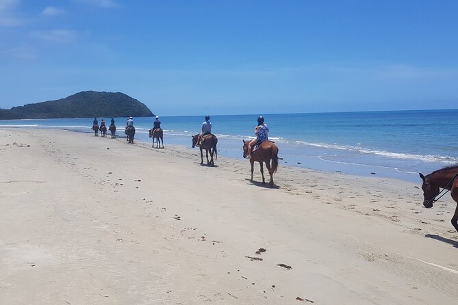 Mid-Morning Beach Horse Ride in Cape Tribulation