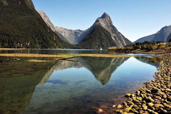 Milford Sound Heli Flight Including Scenic Landings, Boat Cruise