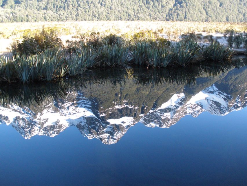 Milford Sound Premium Day Tour and Cruise From Te Anau