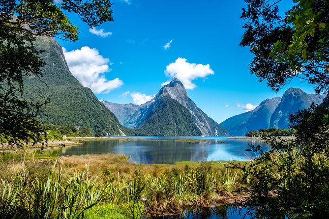 Milford Sound Private Tour With Lunch and Boat Cruise - Location and Rating