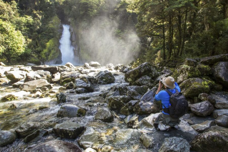 Milford Track: Full Day Guided Hike and Nature Cruise