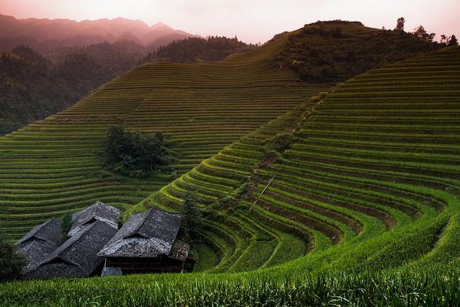 Mini Group: Longji Rice Terraced Fields and Minority Villages Tour - Tour Overview