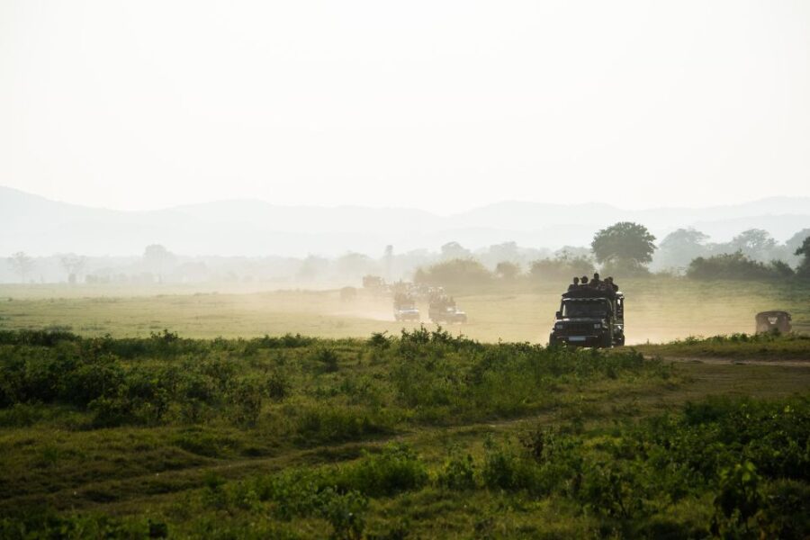 Minneriya National Park Safari by a 4×4